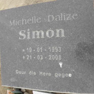 SIMON Michelle Dalize 1993-2008