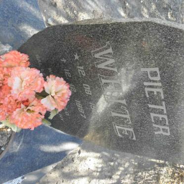 WHITE Pieter 1966-1987
