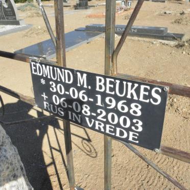 BEUKES Edmund M. 1968-2003