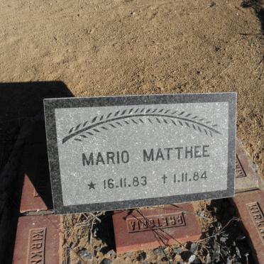 MATTHEE Mario 1983-1984