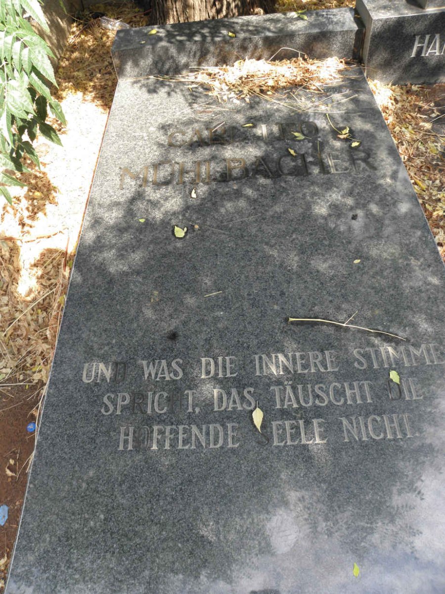 MÜHLBACHER Carl Leo