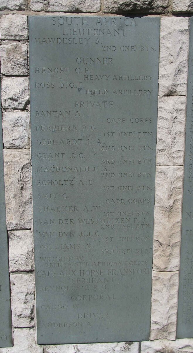 Wall Panel 91. Other South African wartime casualties