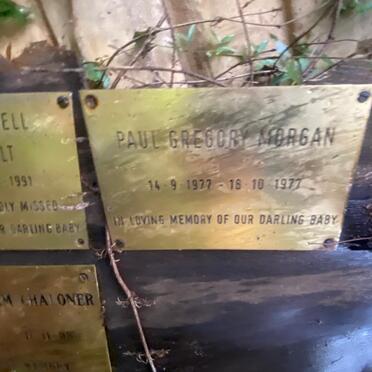 MORGAN Paul Gregory 1977-1977