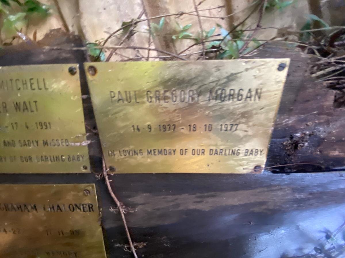 MORGAN Paul Gregory 1977-1977