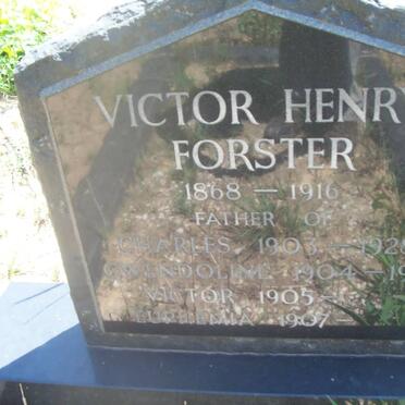 FORSTER Victor Henry 1868-1916 :: FORSTER Charles 1903-1928 :: FORSTER Gwendoline 1904-1977