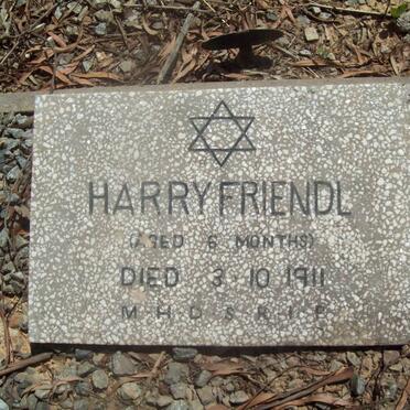FRIENDL Harry -1911