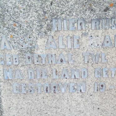 ?AMM? A. ? 186?-1940