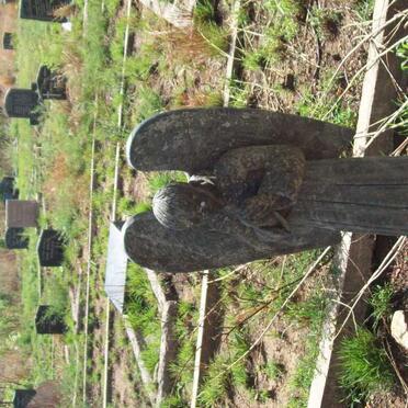 NORTJE Raymond 1967-1976