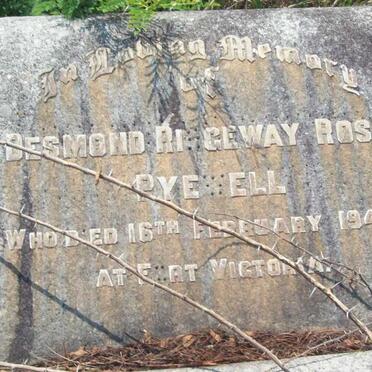 PYEWELL Desmond Ridgeway Rose -1948