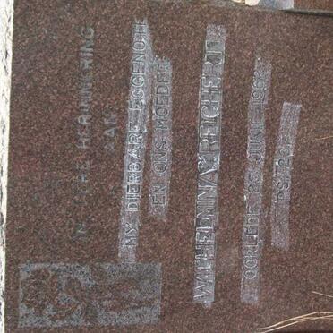 REICHERT Wihelmina -1962