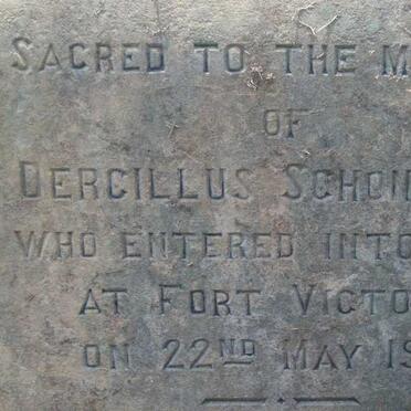 SCHONNBERG Dercillus -1922