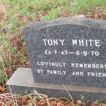 WHITE Tony 1943-1970