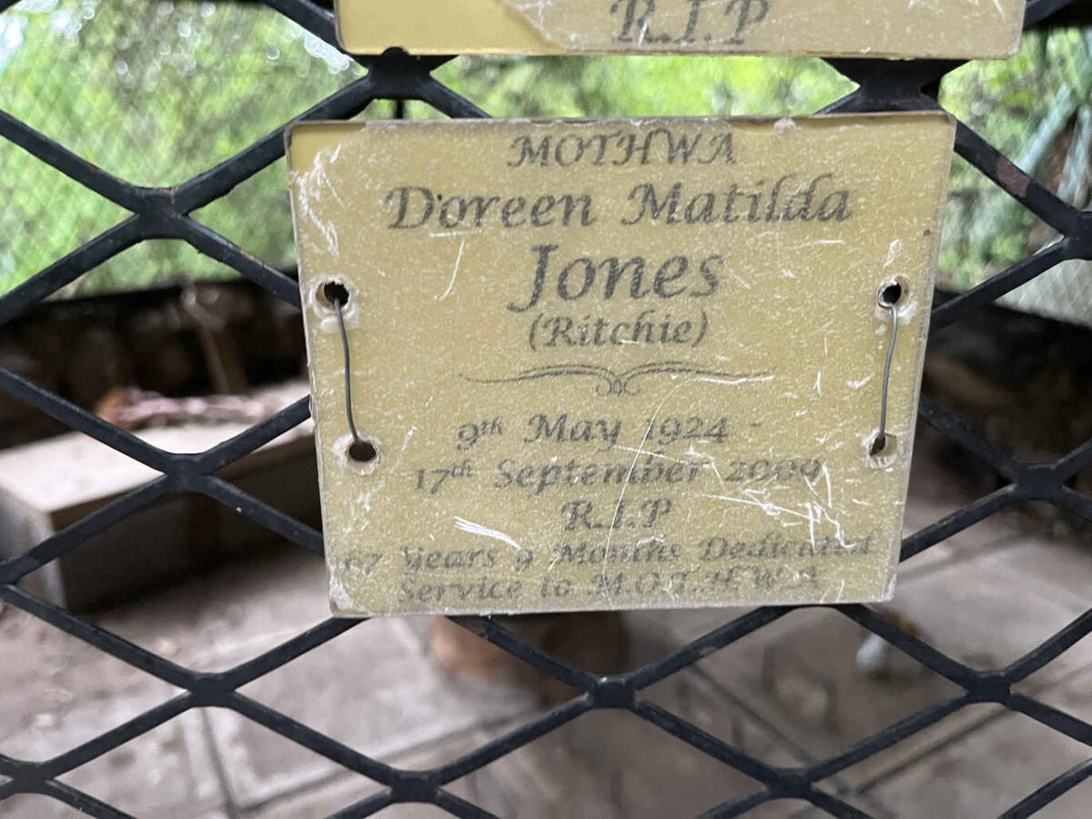 JONES Doreen Matilda nee RITCHIE 1924-200?