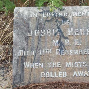 HERBST Jossie -1954