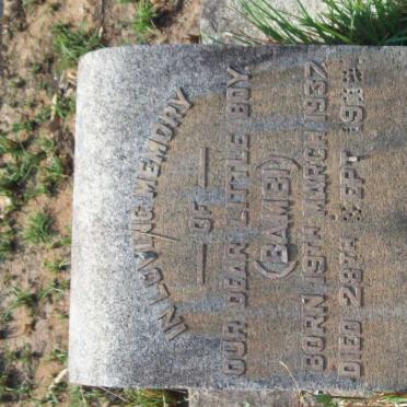 ? Bambi 1937-193?