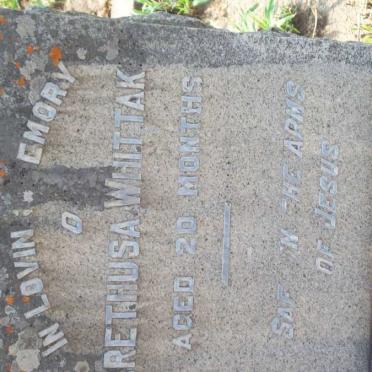 WHITTAKER  Arethusa