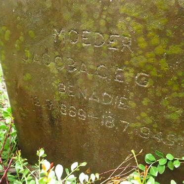 BENADIE Jacoba C.E.G 1889-194?