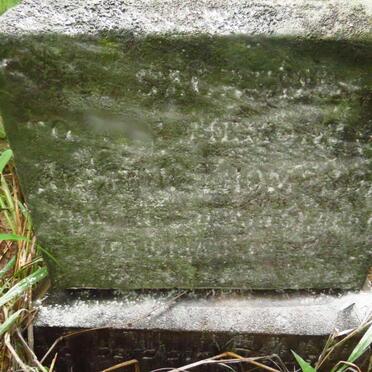 THOMP?