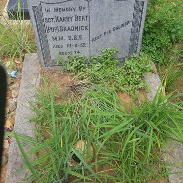 BRADNICK Harry Bert -1952