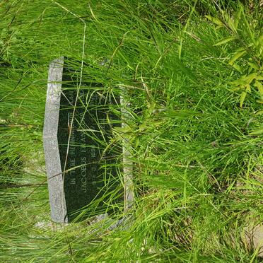 NAUDE Jacobus Francois 1896-1978