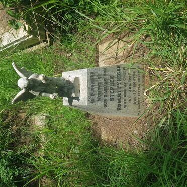 PYNEGAR Stephen Robert -195?