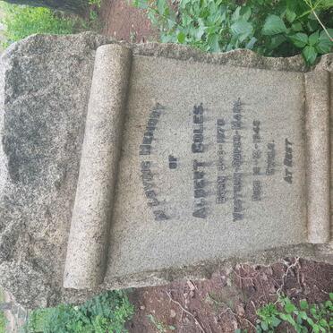 COLES Albert 1870-1946