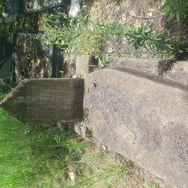 WASSERMANN Jan H. 1880-1931