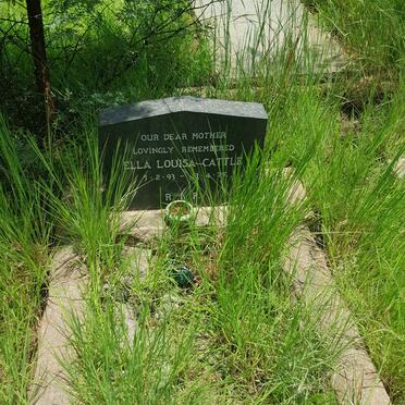 CATTLE Ella Louise 1893-1975
