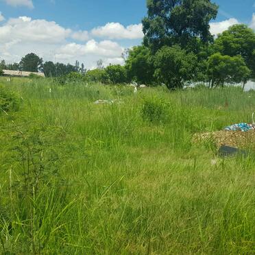 1. Overview / Oorsig