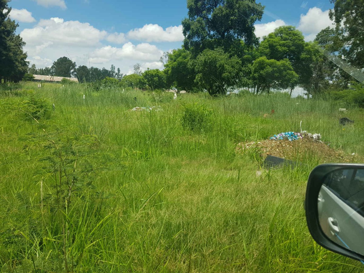 1. Overview / Oorsig